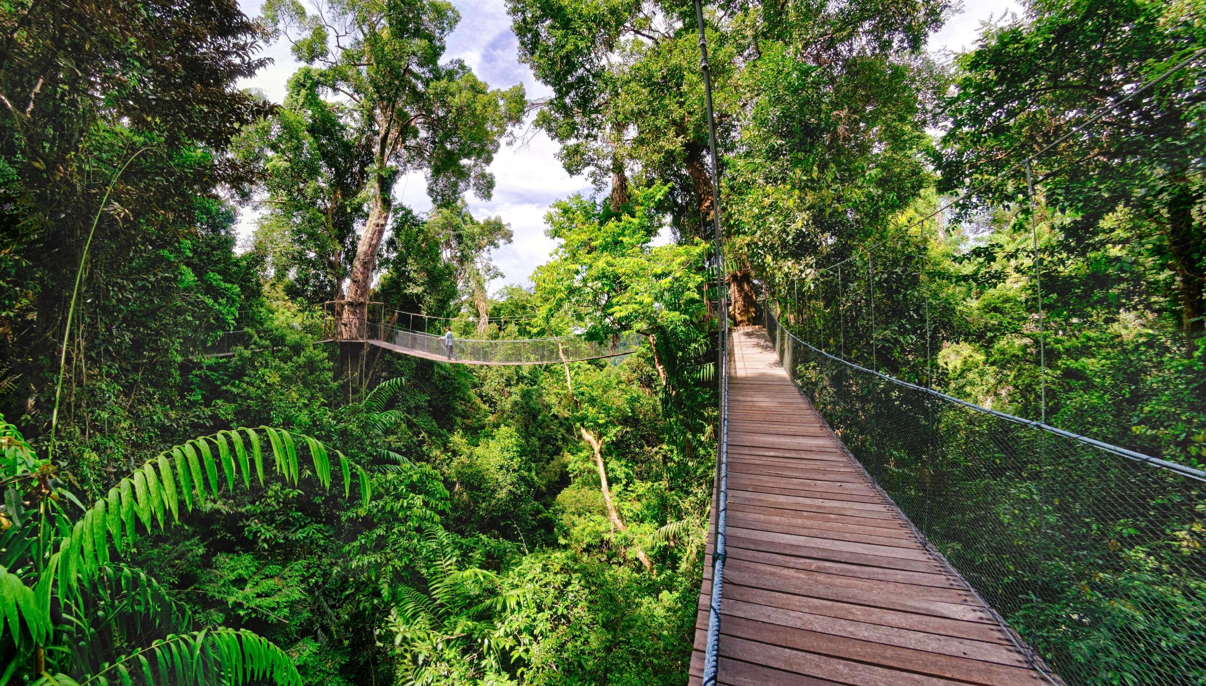 Bunga Raya Island Resort & Spa Gaya Island Εξωτερικό φωτογραφία